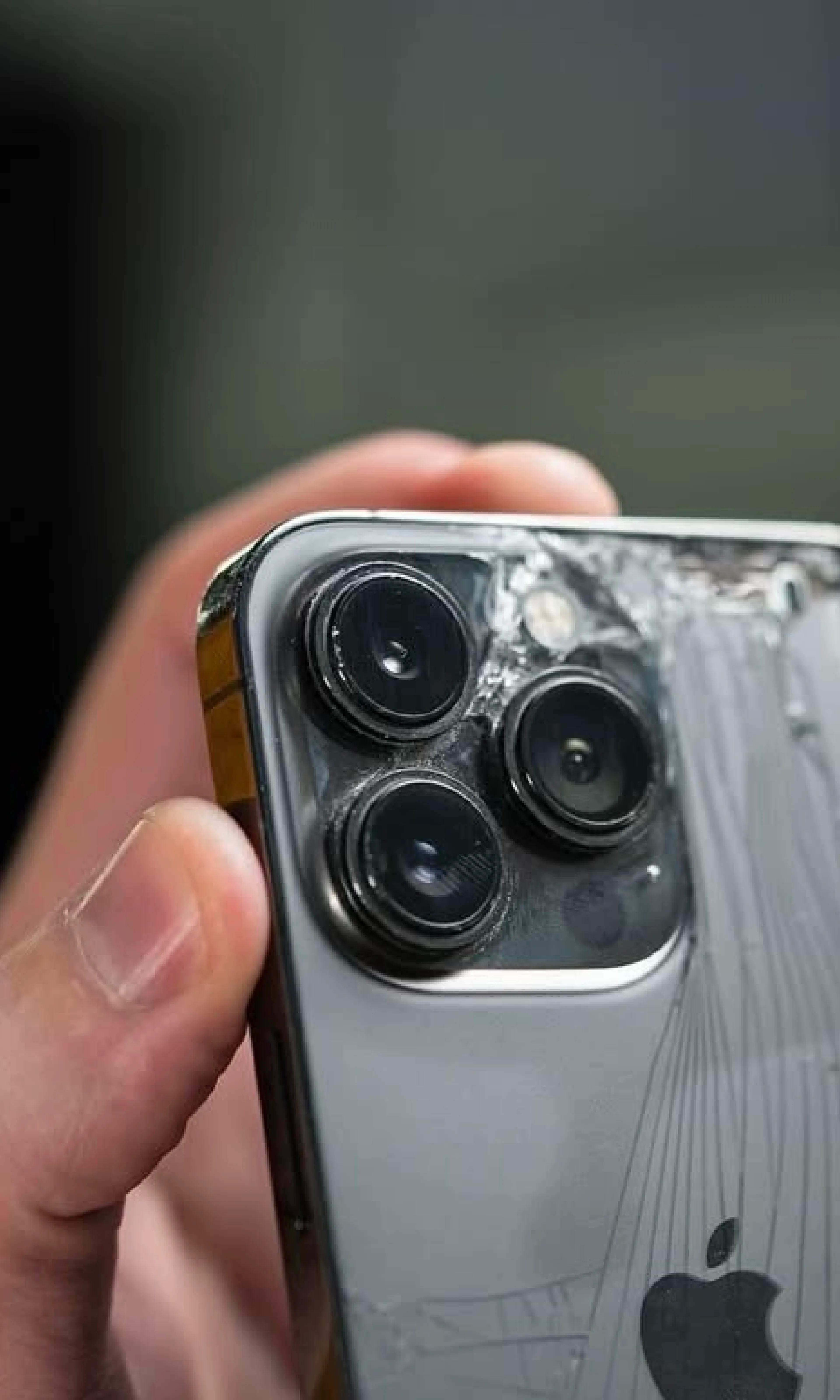 Понад 7 років на ринку