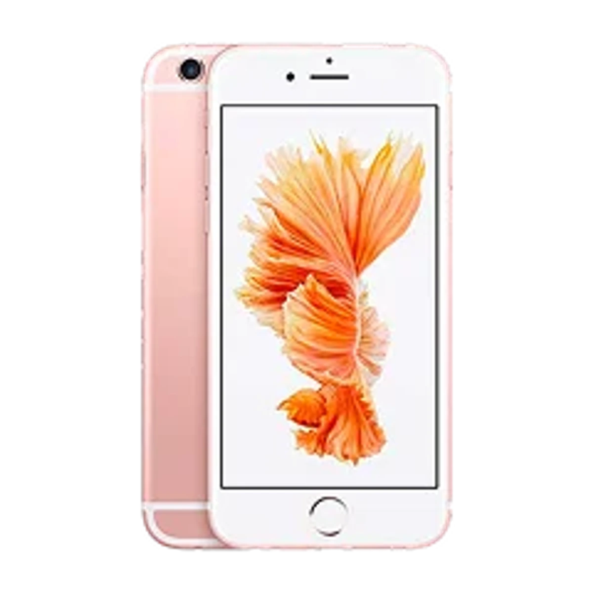 iPhone 6 Plus